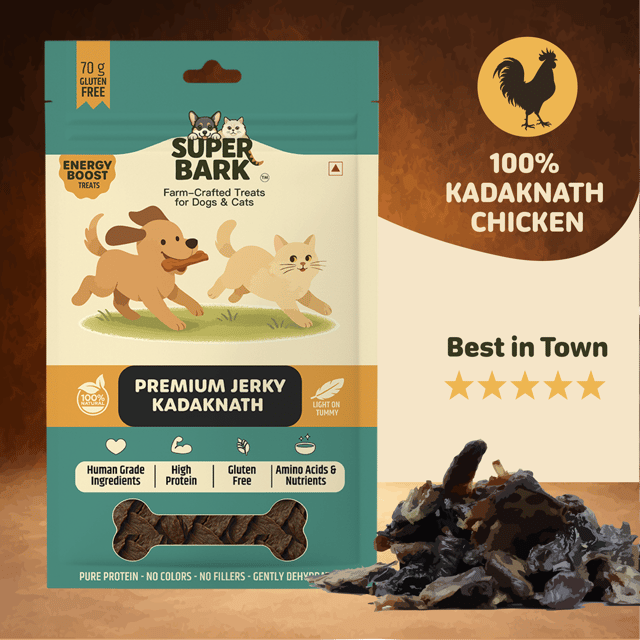 PREMIUM KADAKNATH CHICKEN JERKY - 70 Grams