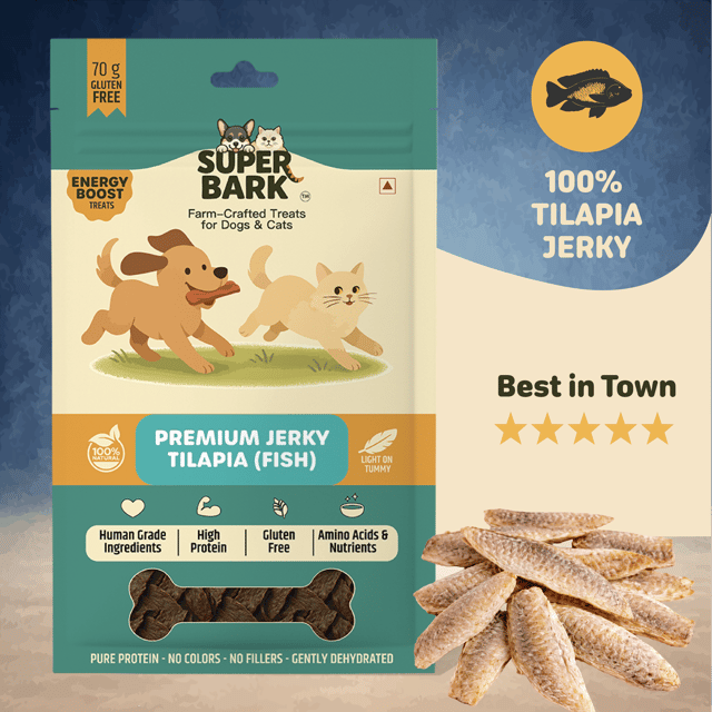 PREMIUM TILAPIA FISH JERKY - 70 Grams